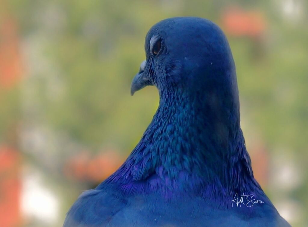 Calm, Composed & Confident— A shot by Adit Sarin