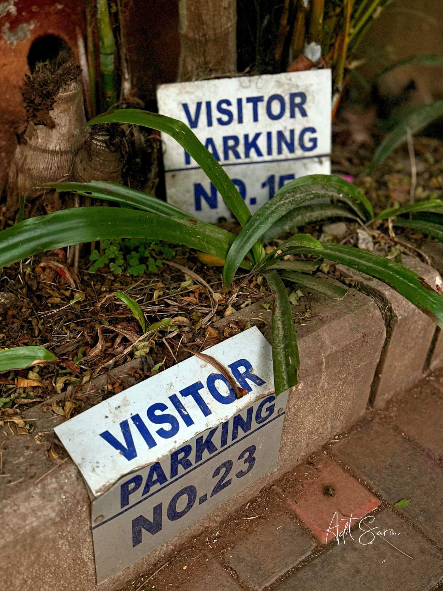 No. 15 clearly captured the space | Fought & earned